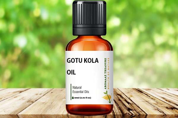 Buy GOTU KOLA OIL at Aromaaz Treasure