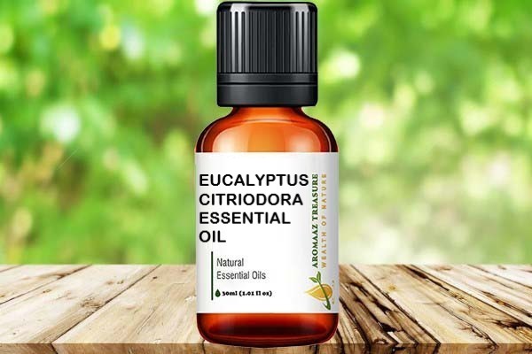 Buy EUCALYPTUS ESSENTIAL OIL (80%) at Aromaaz Treasure