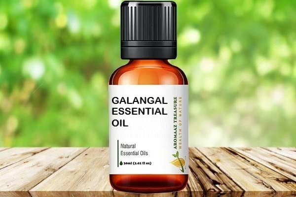 Buy GALANGAL ESSENTIAL OIL at Aromaaz Treasure