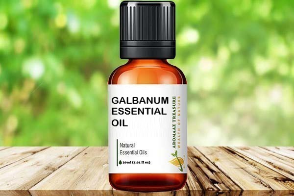 Buy GALBANUM ESSENTIAL OIL at Aromaaz Treasure